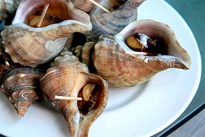 大连海鲜-煮海螺